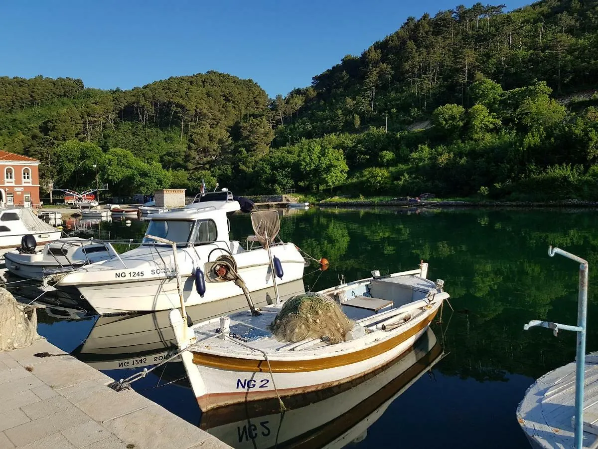 Villa Eximia Novigrad Novigrad