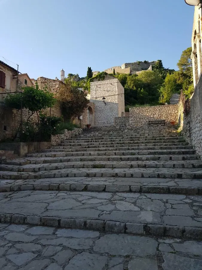 Villa Eximia Novigrad Novigrad  Kroatien