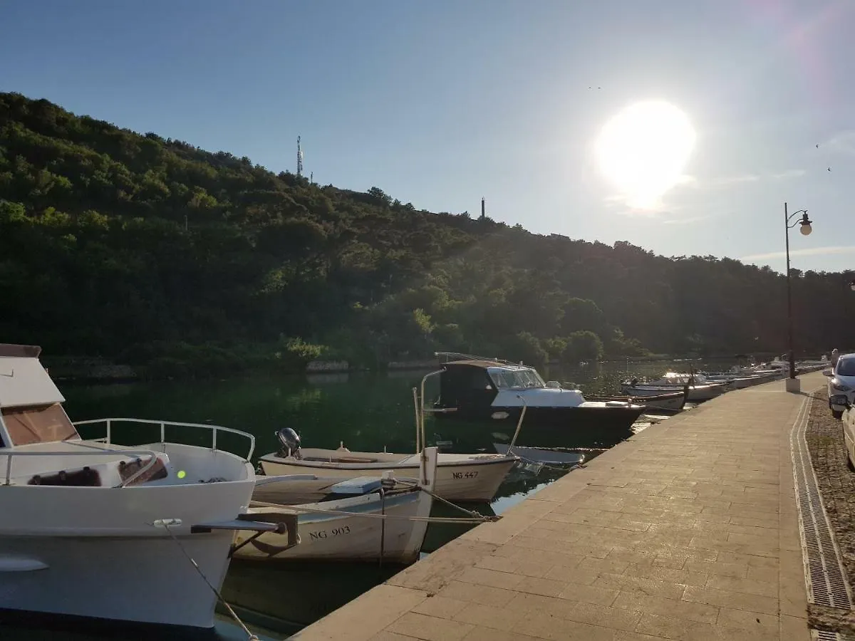 Villa Eximia Novigrad Novigrad